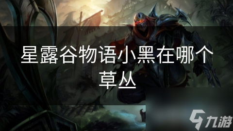 星露谷物语小黑在哪个草丛