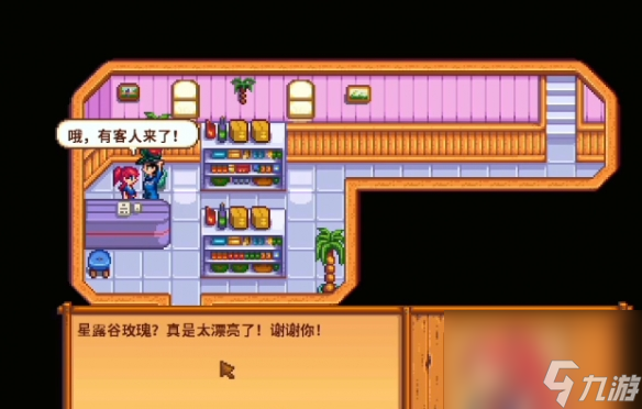 星露谷物语姜岛海盗妻子纪念品任务怎么做