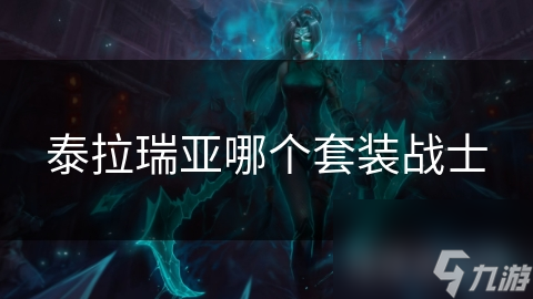 泰拉瑞亚哪个套装战士
