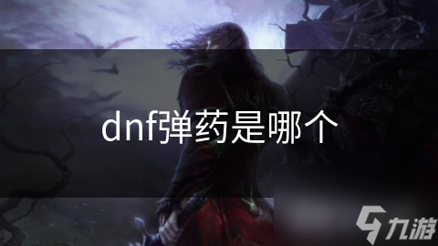 dnf弹药是哪个
