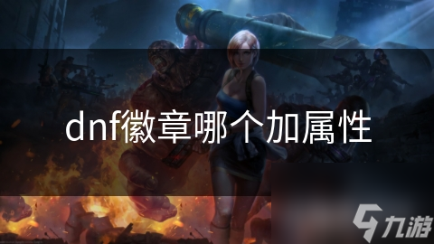dnf徽章哪个加属性