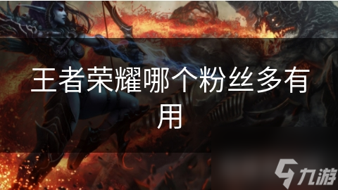 王者荣耀哪个粉丝多有用