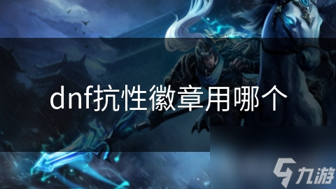 dnf抗性徽章用哪个