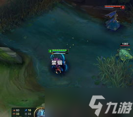 lol惩戒不回血了(lol游戏途中突然不能用惩戒)