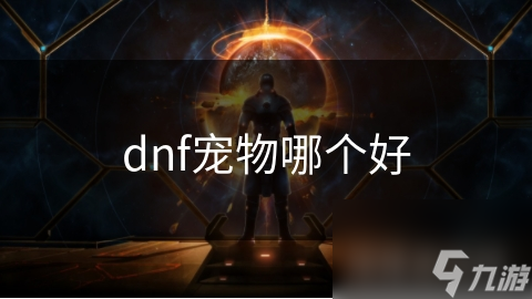 dnf宠物哪个好