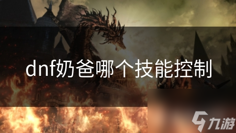 dnf奶爸哪个技能控制