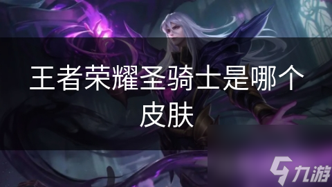 王者荣耀圣骑士是哪个皮肤