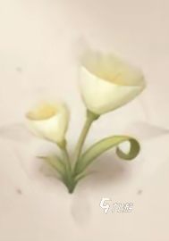无限暖暖风絮草在哪采集 无限暖暖风絮草采集方法介绍