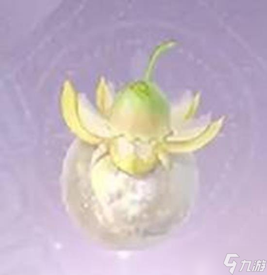 无限暖暖日光果在什么地方获得 日光果制作心愿蔷薇方法