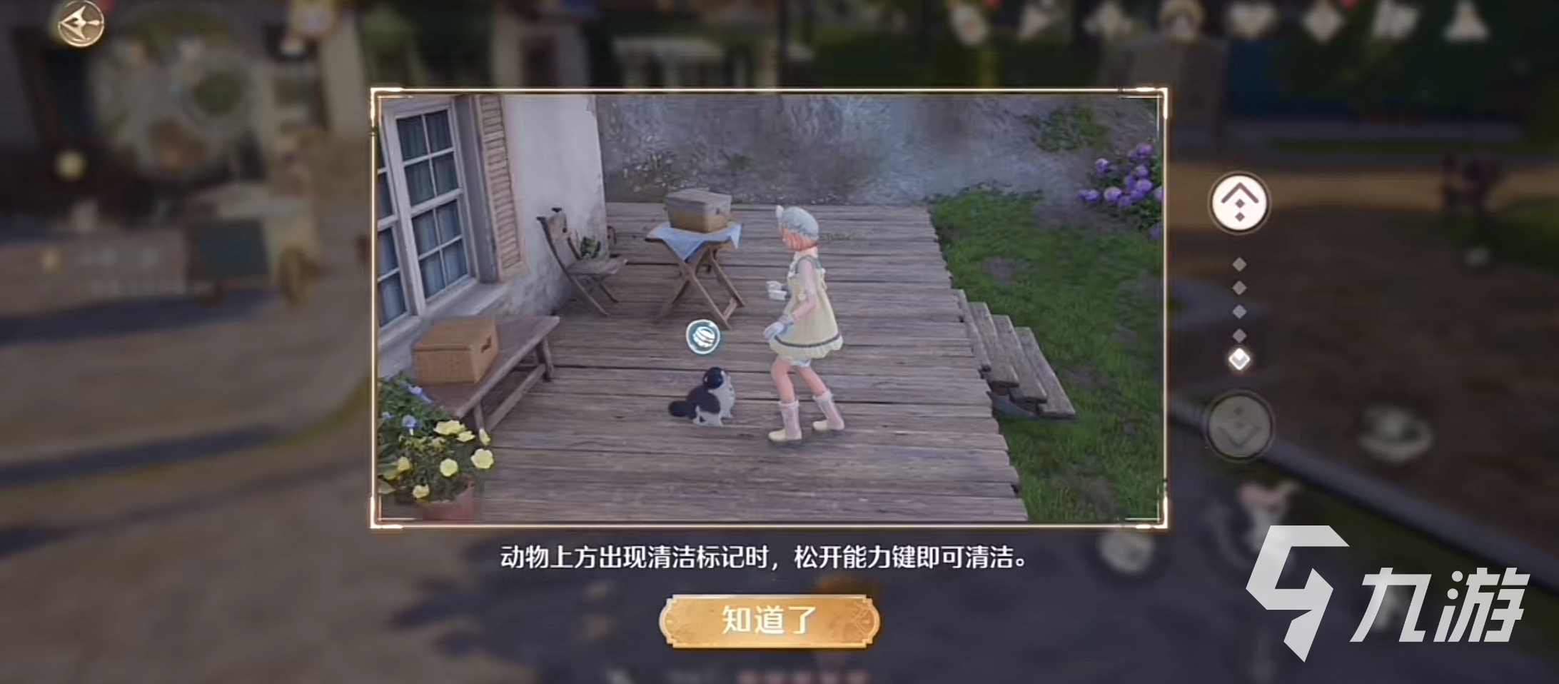 无限暖暖动物清洁怎么做 无限暖暖动物清洁方法分享