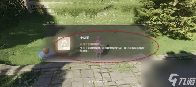 无限暖暖小棉菊采集攻略