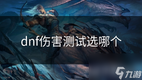 dnf伤害测试选哪个