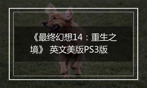 《最终幻想14:重生之境》 英文美版PS3版