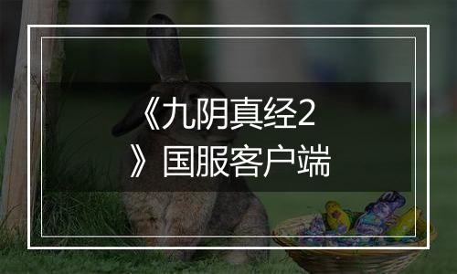 《九阴真经2》国服客户端