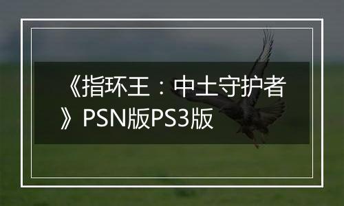 《指环王:中土守护者》PSN版PS3版