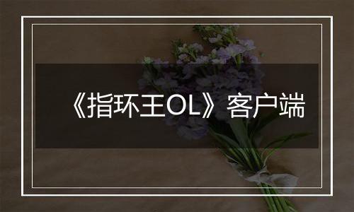 《指环王OL》客户端