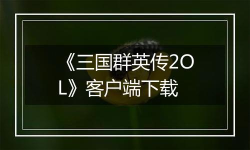 《三国群英传2OL》客户端下载