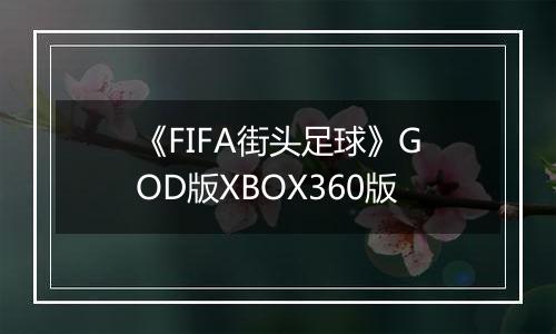 《FIFA街头足球》GOD版XBOX360版