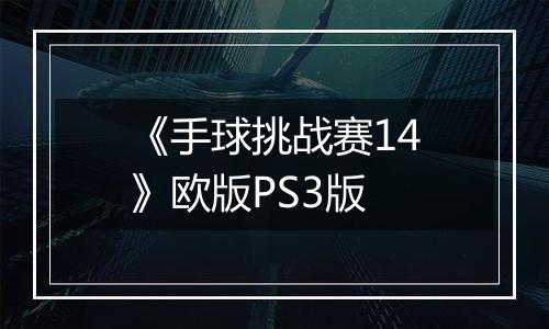 《手球挑战赛14》欧版PS3版