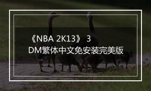 《NBA 2K13》 3DM繁体中文免安装完美版