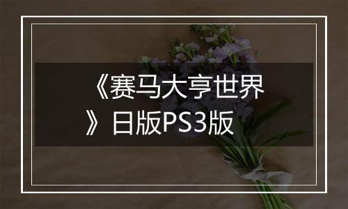 《赛马大亨世界》日版PS3版
