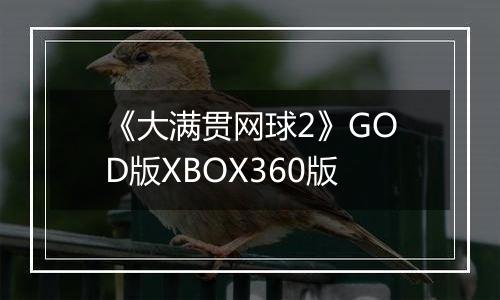 《大满贯网球2》GOD版XBOX360版