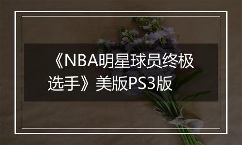 《NBA明星球员终极选手》美版PS3版