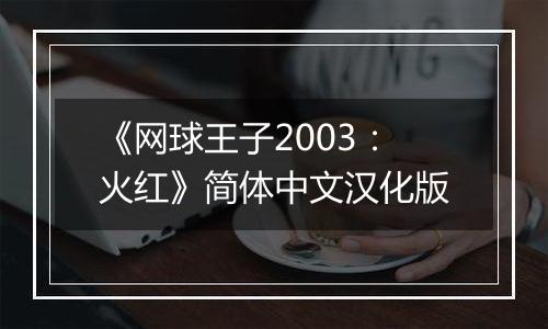 《网球王子2003：火红》简体中文汉化版