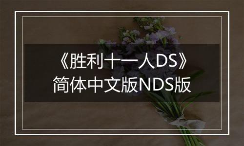 《胜利十一人DS》简体中文版NDS版
