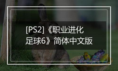 [PS2]《职业进化足球6》简体中文版