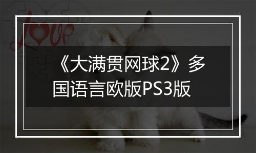《大满贯网球2》多国语言欧版PS3版