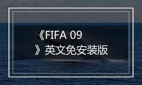 《FIFA 09》英文免安装版