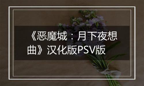 《恶魔城：月下夜想曲》汉化版PSV版