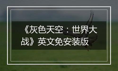 《灰色天空：世界大战》英文免安装版