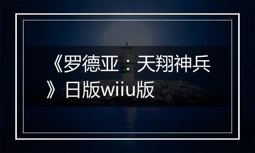 《罗德亚：天翔神兵》日版wiiu版