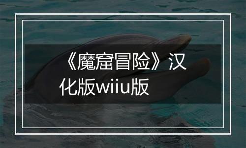 《魔窟冒险》汉化版wiiu版