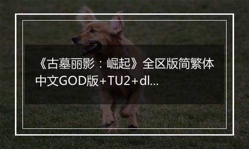 《古墓丽影：崛起》全区版简繁体中文GOD版+TU2+dlcXBOX360版
