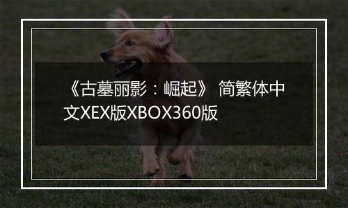 《古墓丽影：崛起》 简繁体中文XEX版XBOX360版
