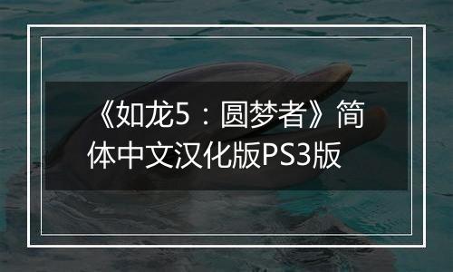 《如龙5：圆梦者》简体中文汉化版PS3版