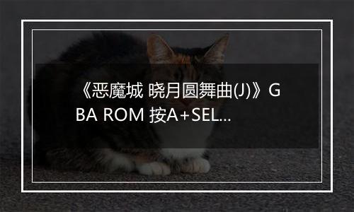 《恶魔城 晓月圆舞曲(J)》GBA ROM 按A+SELECT加钱版