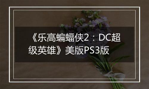 《乐高蝙蝠侠2：DC超级英雄》美版PS3版
