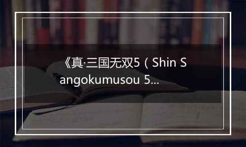 《真·三国无双5（Shin Sangokumusou 5）》