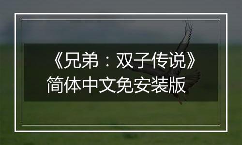 《兄弟：双子传说》简体中文免安装版