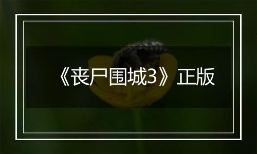 《丧尸围城3》正版