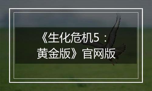 《生化危机5：黄金版》官网版