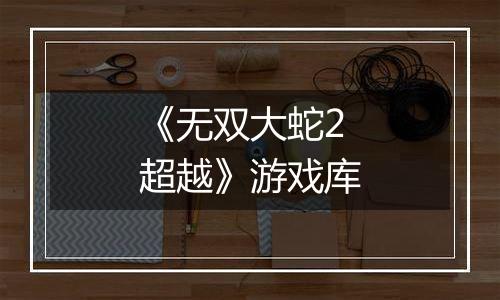 《无双大蛇2 超越》游戏库
