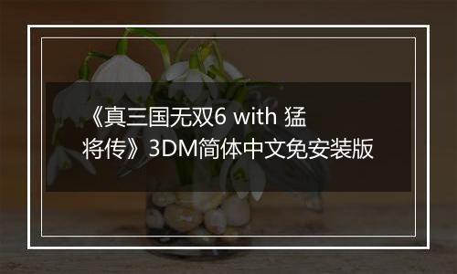 《真三国无双6 with 猛将传》3DM简体中文免安装版