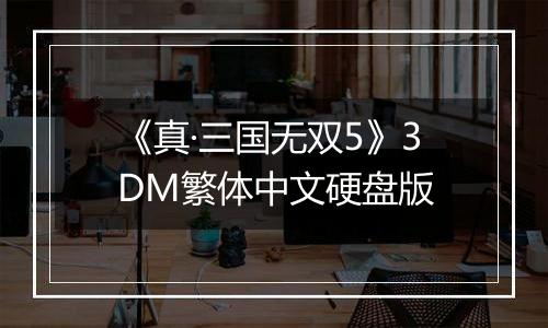 《真·三国无双5》3DM繁体中文硬盘版
