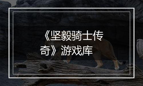 《坚毅骑士传奇》游戏库