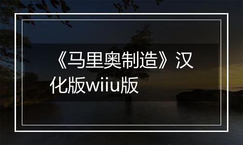 《马里奥制造》汉化版wiiu版